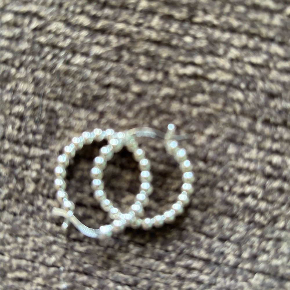 Elegant Silver Hoop Earrings